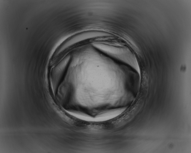 X0000101170788200807181422