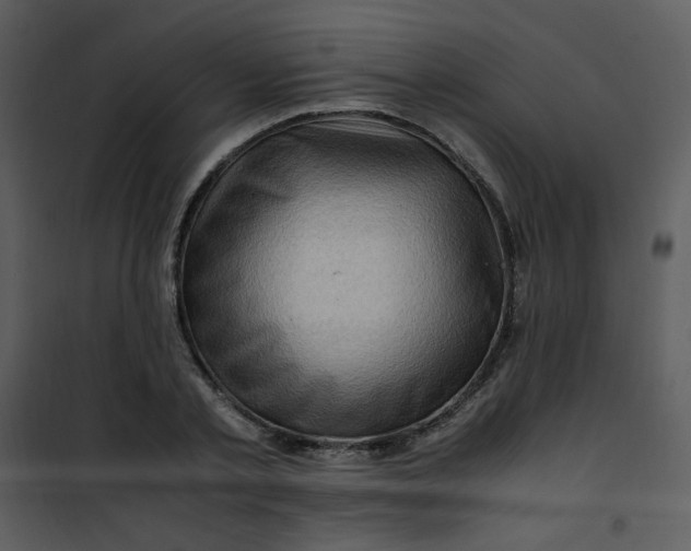 X0000101170789200807181422