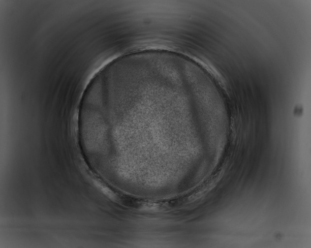 X0000101170790200807181422