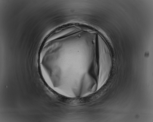 X0000101170791200807181422