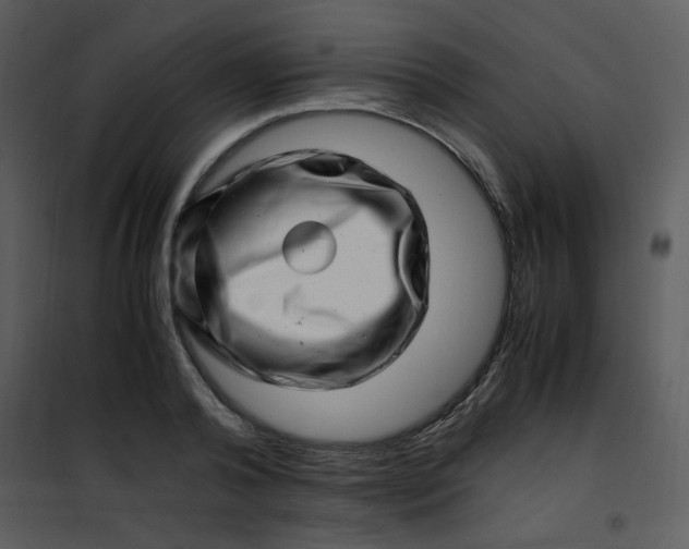 X0000101170792200807181422