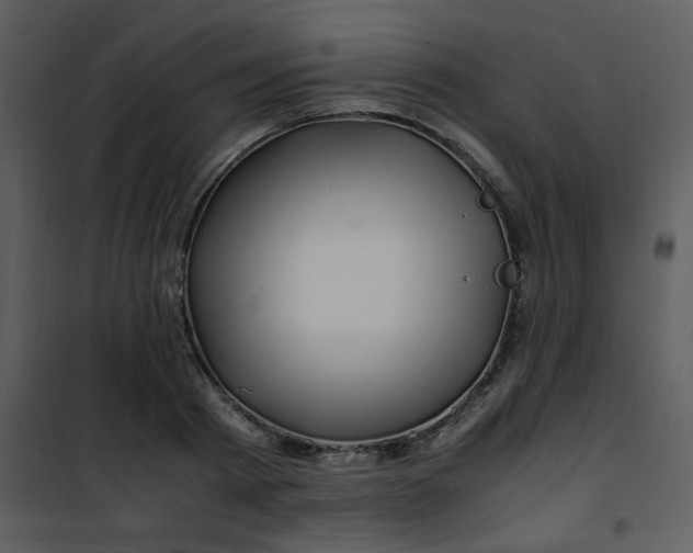 X0000101170793200807181422