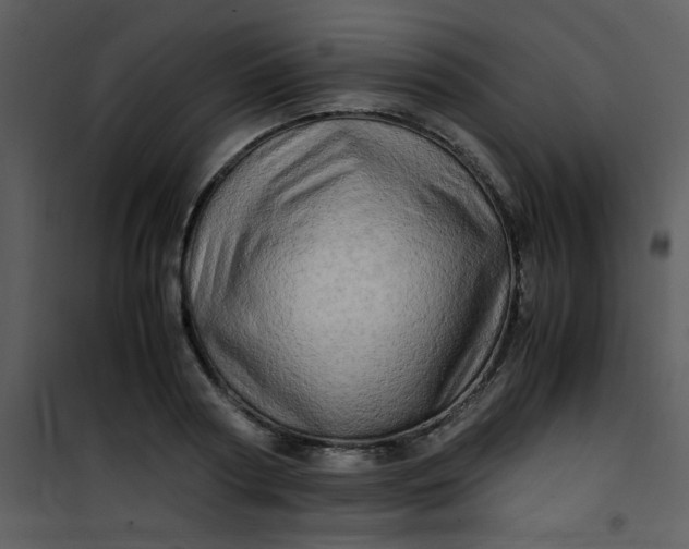 X0000101170794200807181422