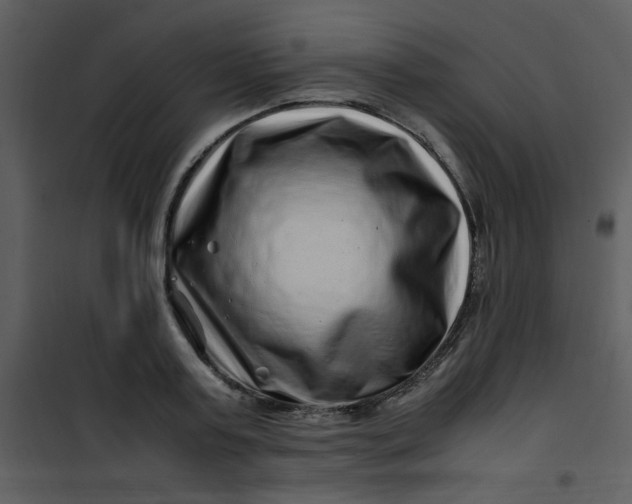 X0000101170795200807181422