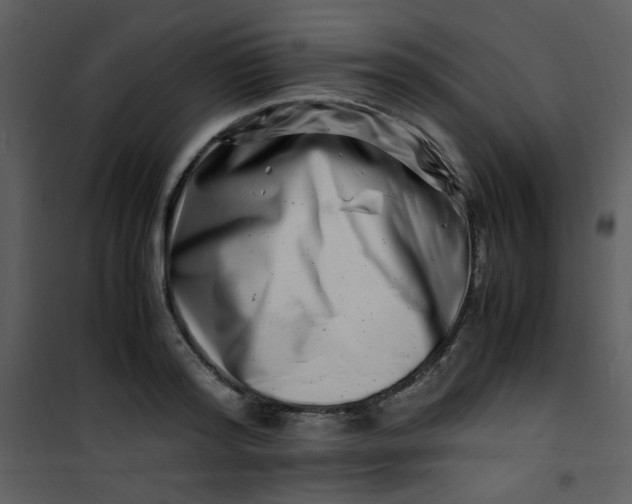 X0000101170796200807181422