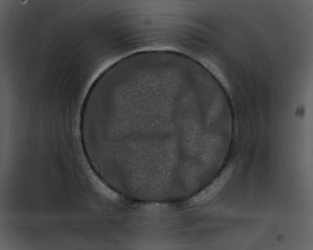 X0000101170797200807181422