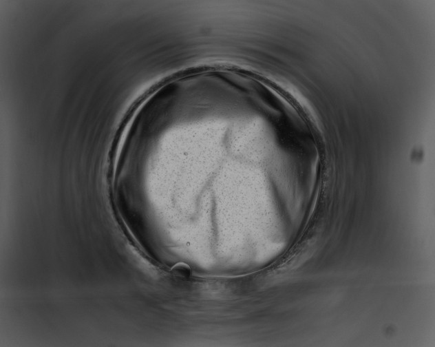 X0000101170799200807181422
