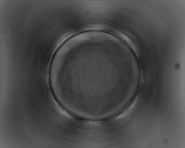 X0000101170802200807181422