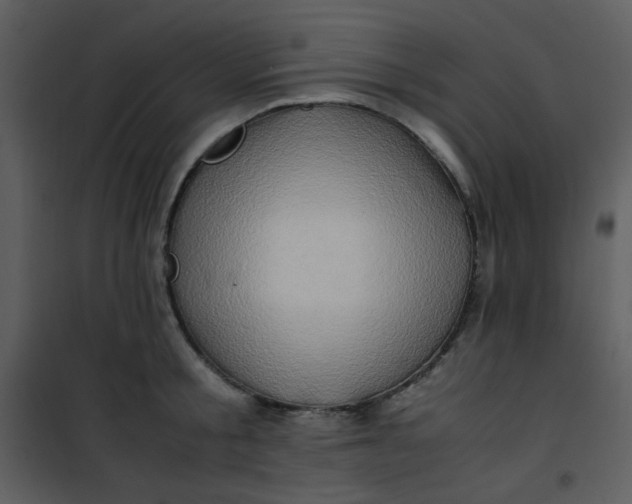 X0000101170805200807181422