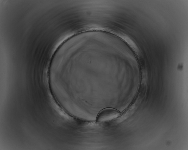 X0000101170806200807181422