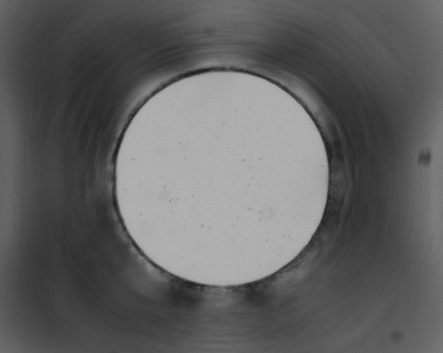 X0000101170807200807181422