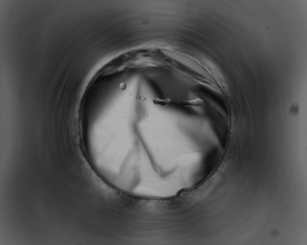 X0000101170808200807181422