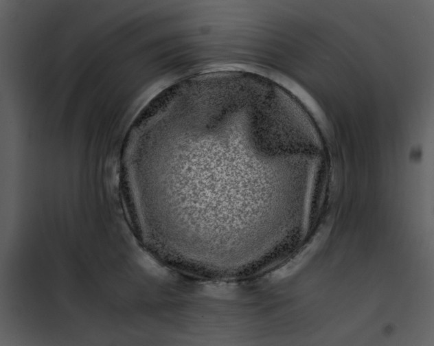 X0000101170809200807181422