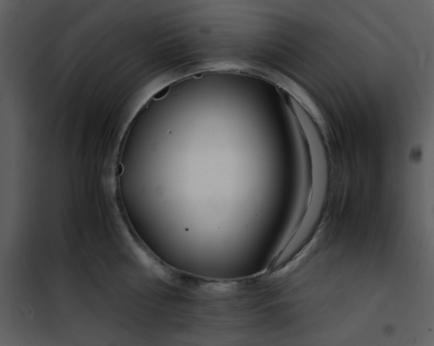 X0000101170810200807181422