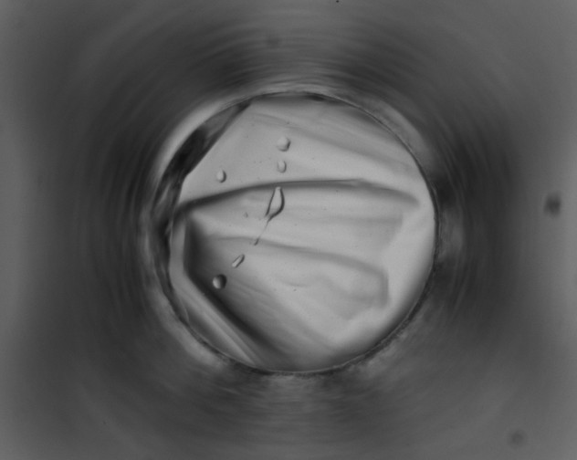X0000101170812200807181422