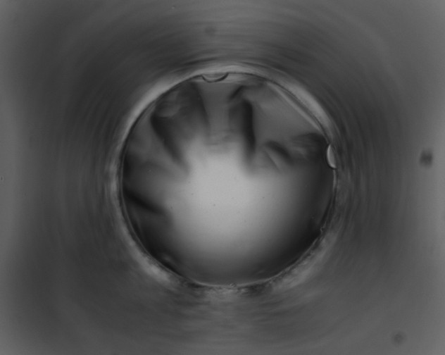 X0000101170813200807181422