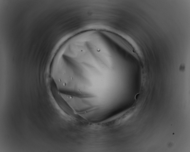 X0000101170815200807181422