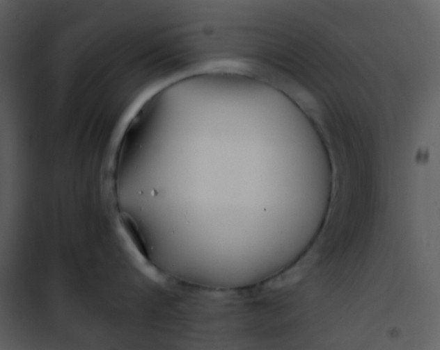 X0000101170816200807181422