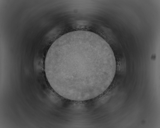 X0000101170820200807181421