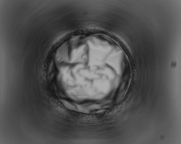 X0000101170823200807181421