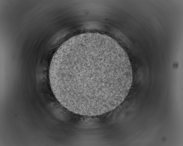 X0000101170824200807181421