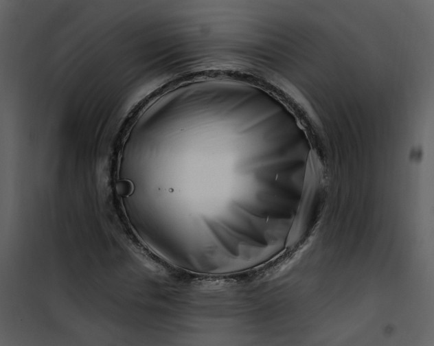 X0000101170826200807181421