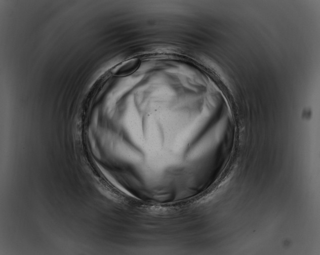 X0000101170827200807181421