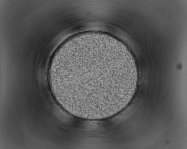 X0000101170828200807181421