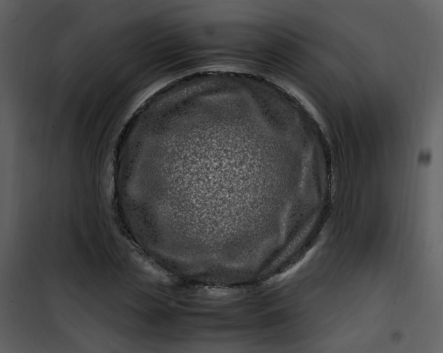 X0000101170829200807181421