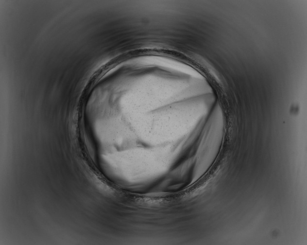 X0000101170831200807181421