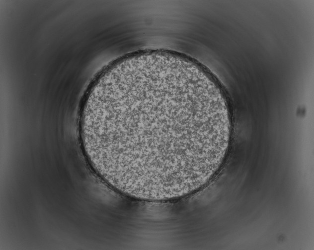 X0000101170832200807181421
