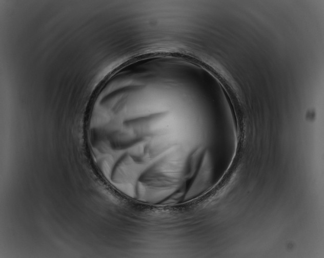 X0000101170834200807181421