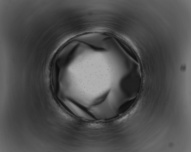 X0000101170835200807181421