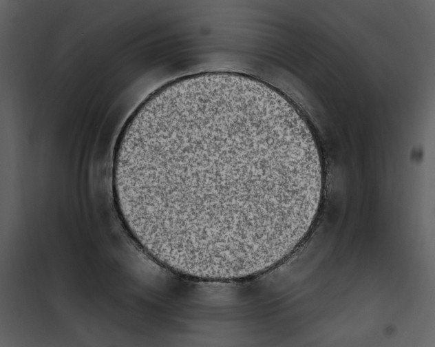 X0000101170836200807181421