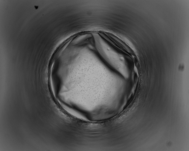 X0000101170839200807181421