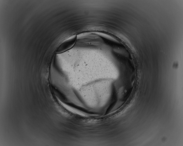 X0000101170841200807181421