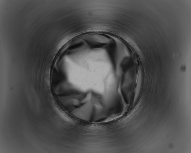 X0000101170842200807181421