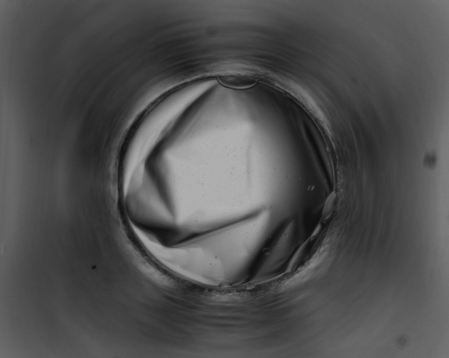 X0000101170843200807181421