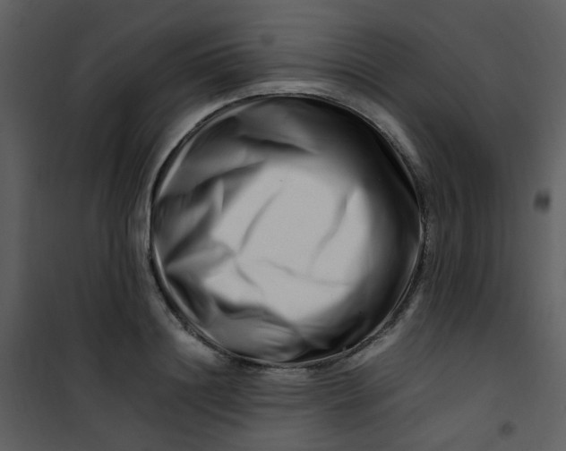 X0000101170844200807181421