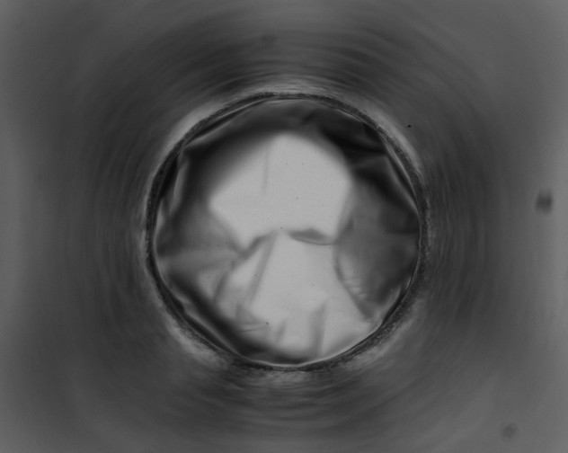 X0000101170845200807181421