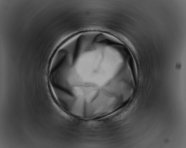 X0000101170847200807181422