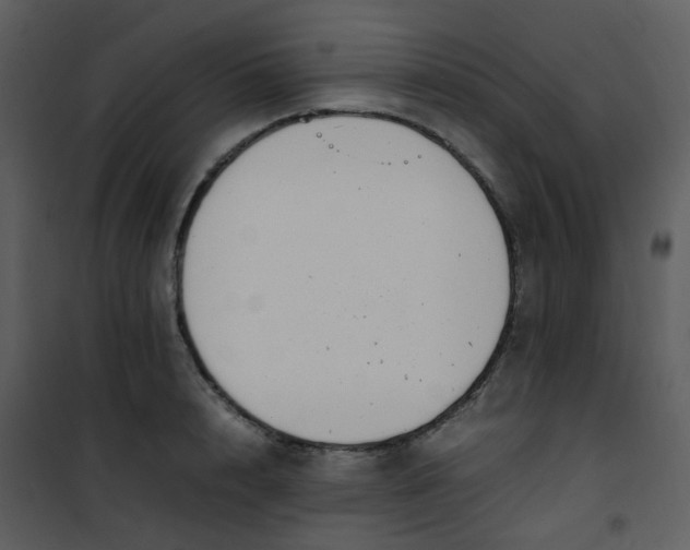 X0000101170848200807181422