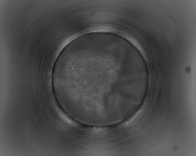 X0000101170850200807181422