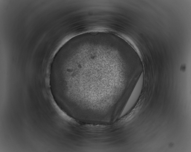 X0000101170851200807181422