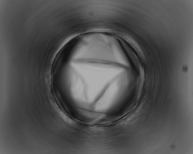 X0000101170852200807181422
