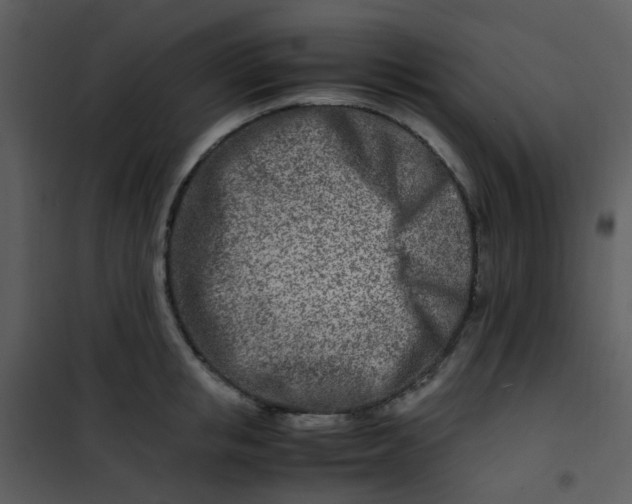 X0000101170853200807181422