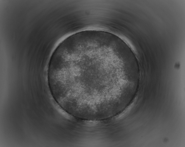 X0000101170854200807181422