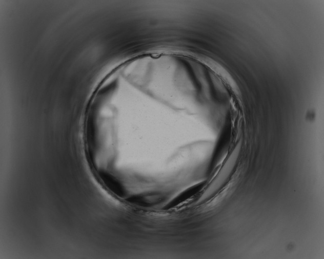 X0000101170855200807181422