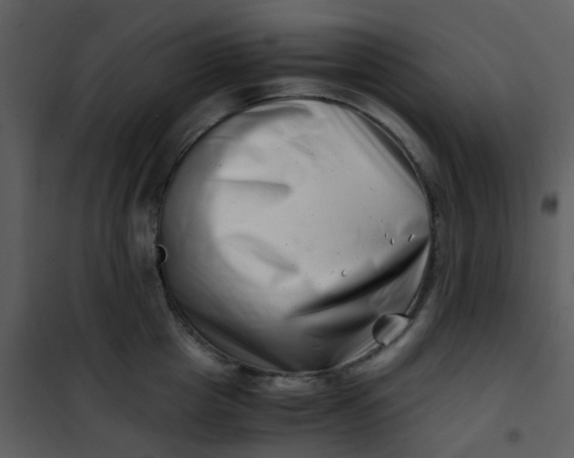 X0000101170857200807181422