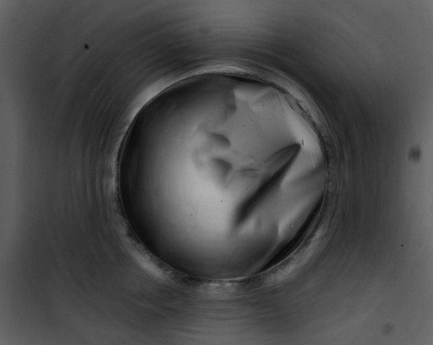 X0000101170858200807181422